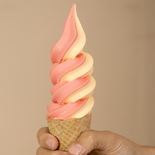Nutec | Capacitación en maquinarias y helados