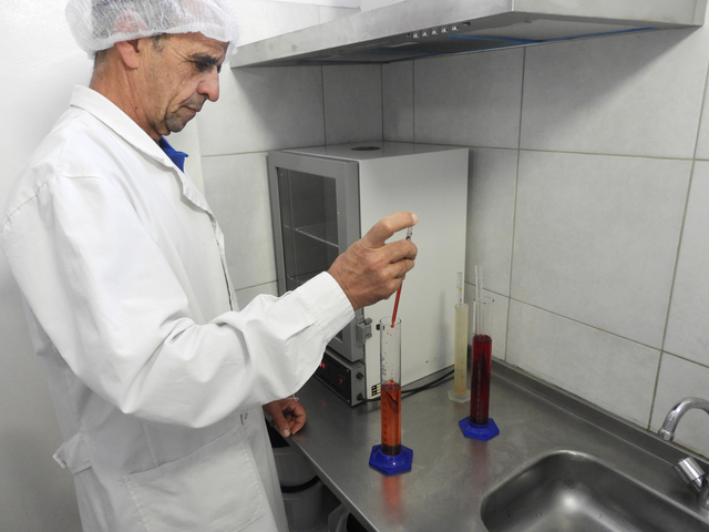 Nutec | celebramos el día de las infancias